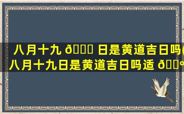 八月十九 🍁 日是黄道吉日吗(八月十九日是黄道吉日吗适 🌺 合订婚吗2023,10月3号)